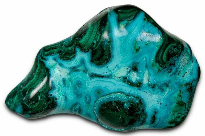 Vibrant Polished Malachite with Chrysocolla - DR Congo #336851